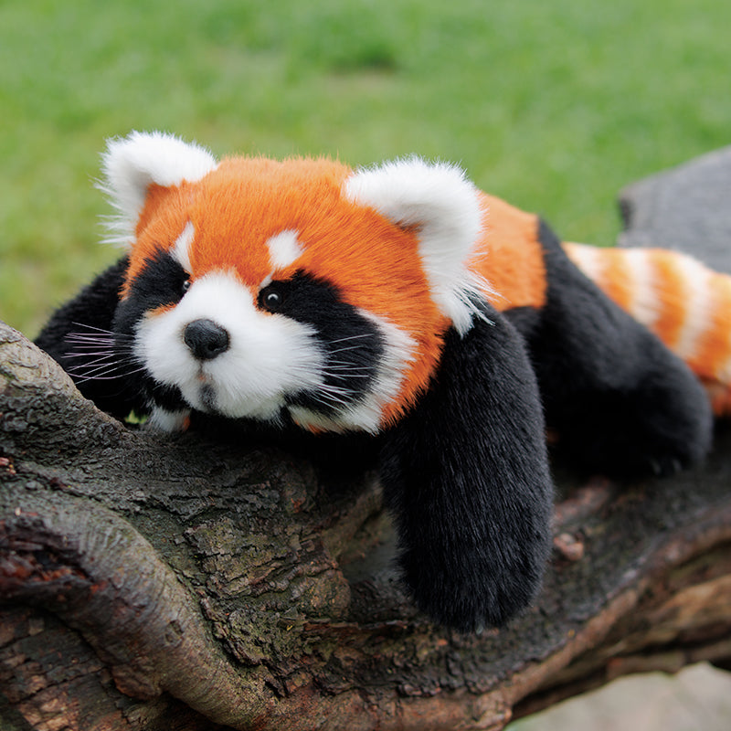 Red Panda Weighted Plush – Snuggle Toy for Stress Relief