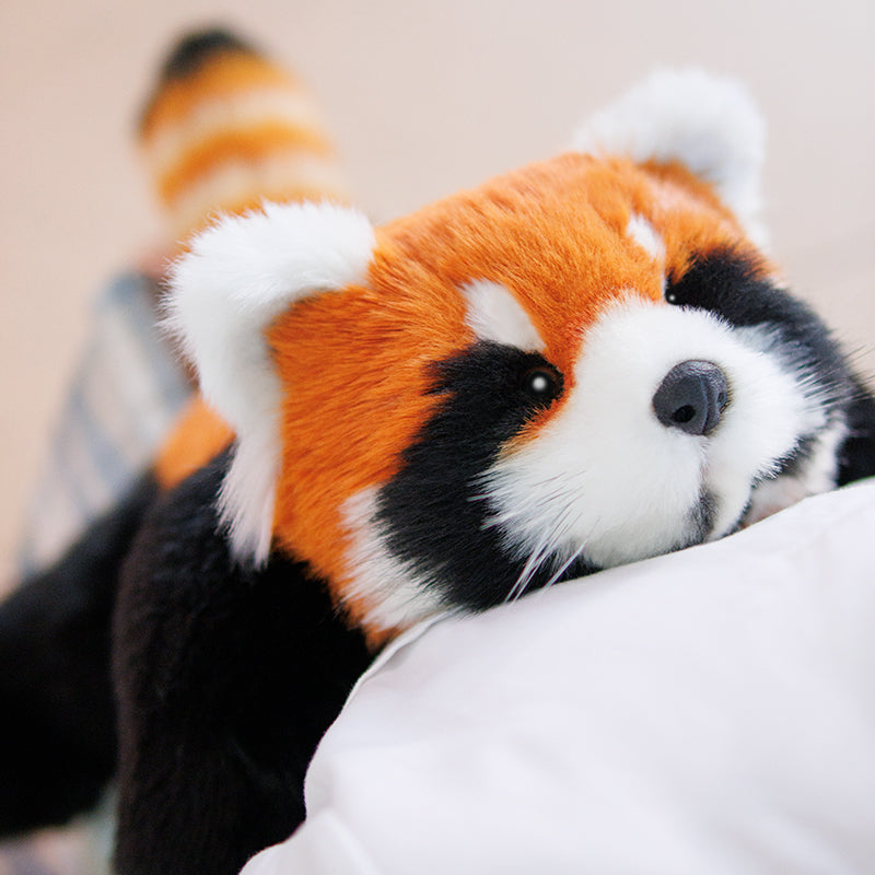 Red Panda Weighted Plush – Snuggle Toy for Stress Relief