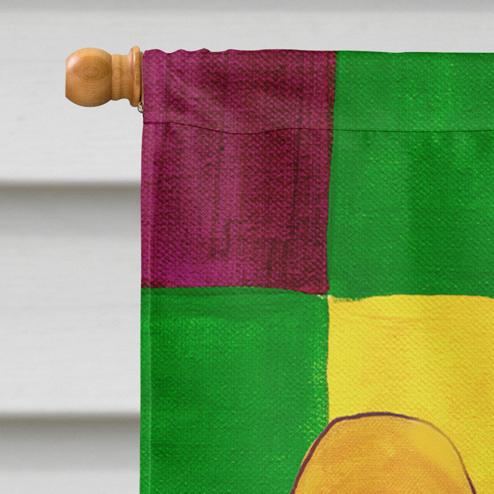 Mardi Gras  Flag Canvas House Size