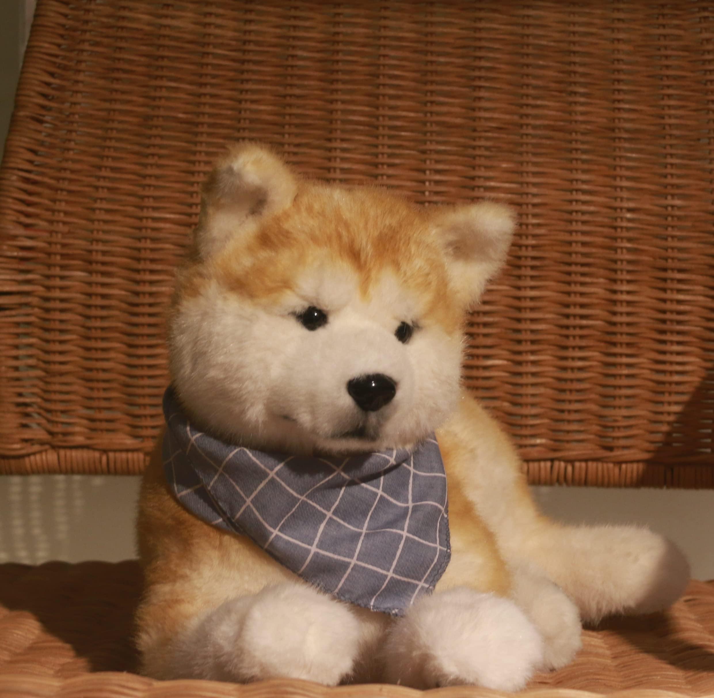 Akita Dog Plush – Cuddly Gift for Dog Lovers