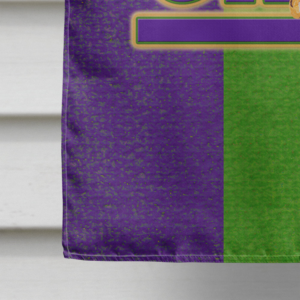 Mardi Gras Flag Canvas House Size