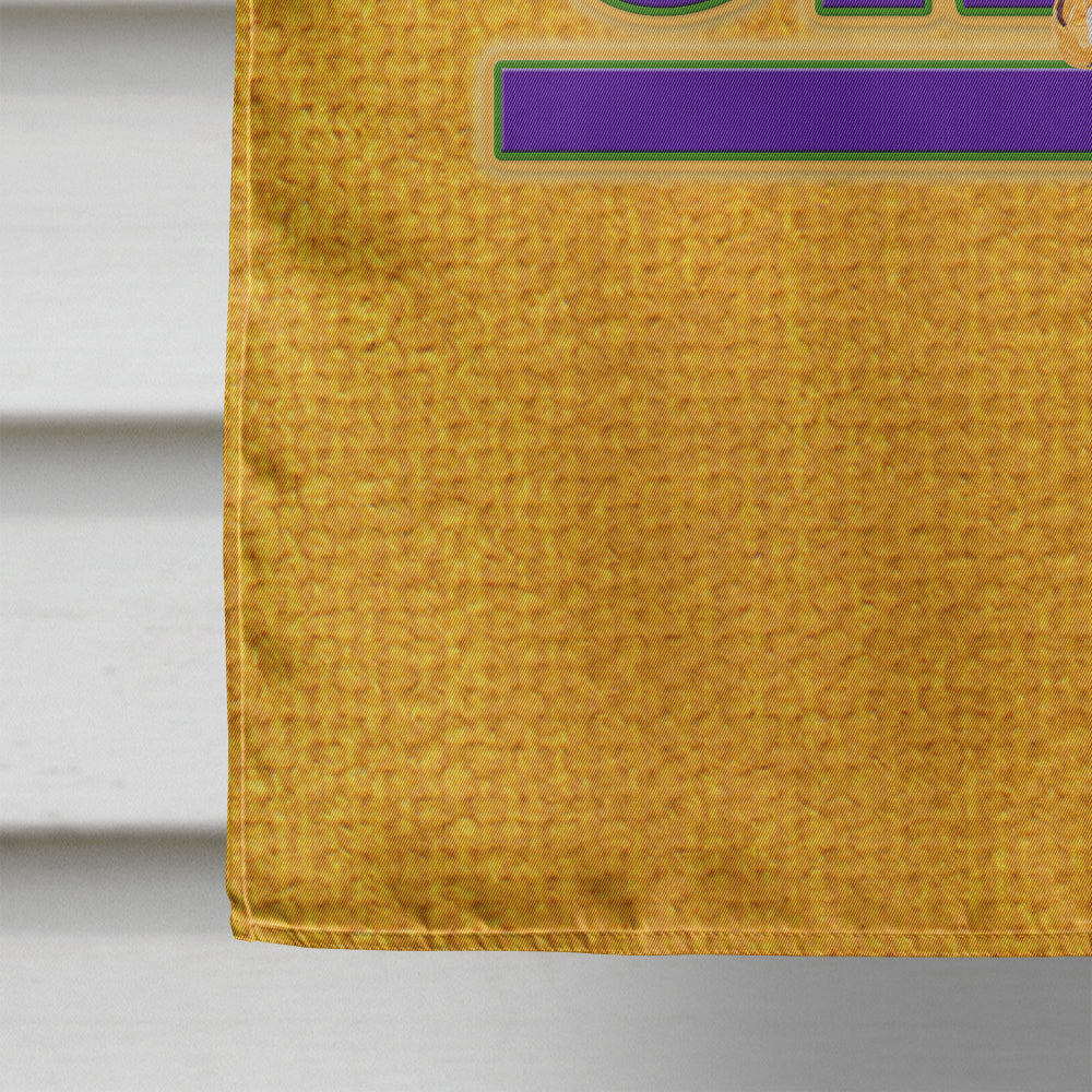 Mardi Gras Flag Canvas House Size