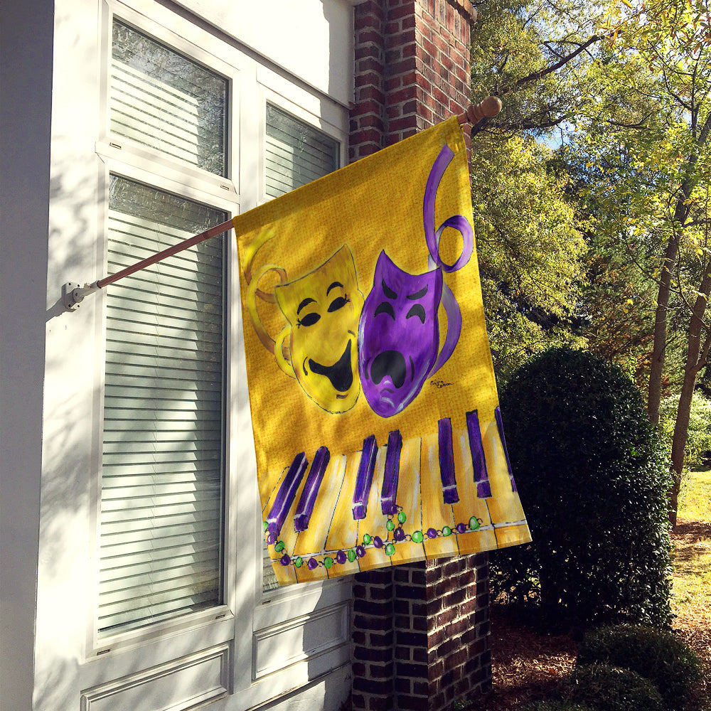 Mardi Gras Flag Canvas House Size