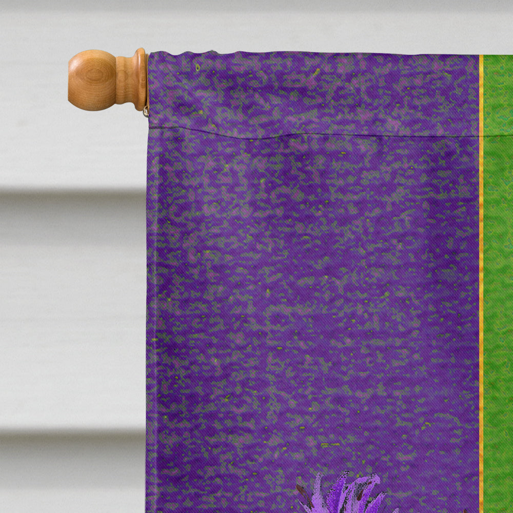 Mardi Gras Flag Canvas House Size