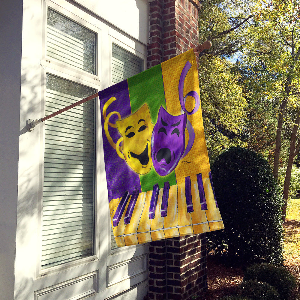 Mardi Gras Flag Canvas House Size