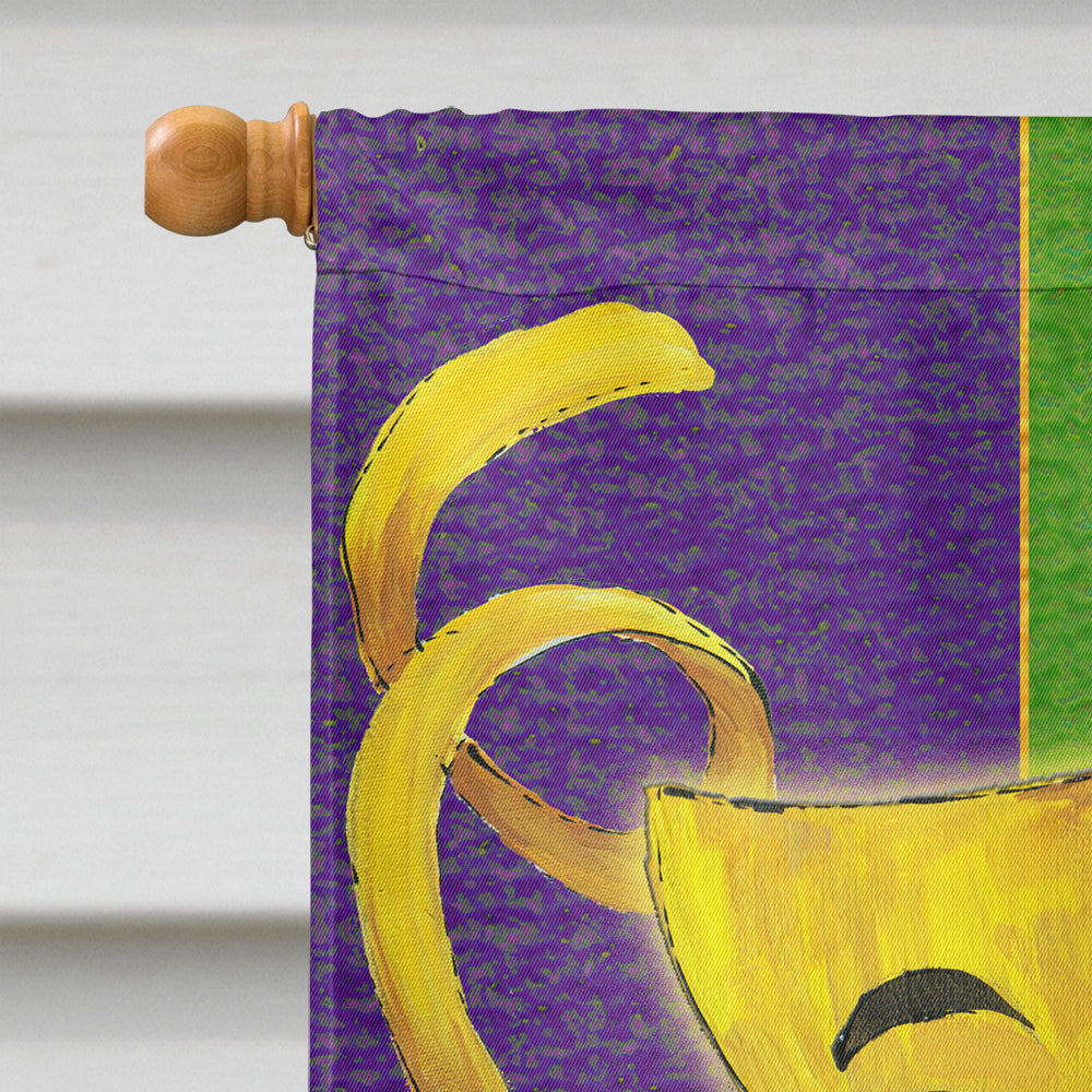 Mardi Gras Flag Canvas House Size