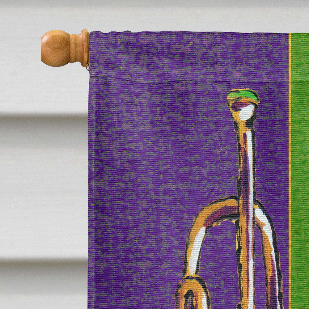 Mardi Gras Flag Canvas House Size