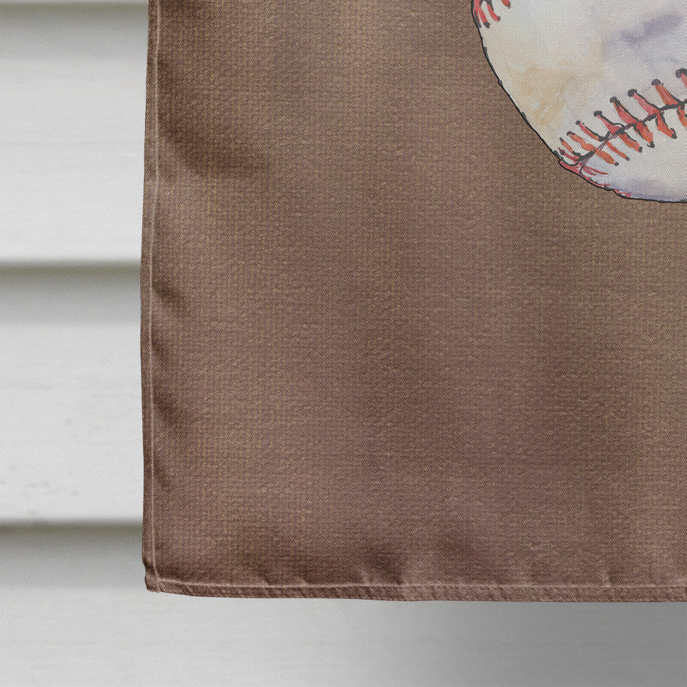 Baseball Flag Canvas House Size