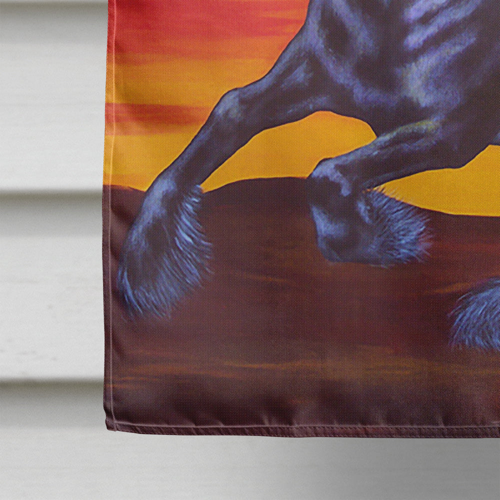 Desert Wind Horse Flag Canvas House Size AMB1241CHF