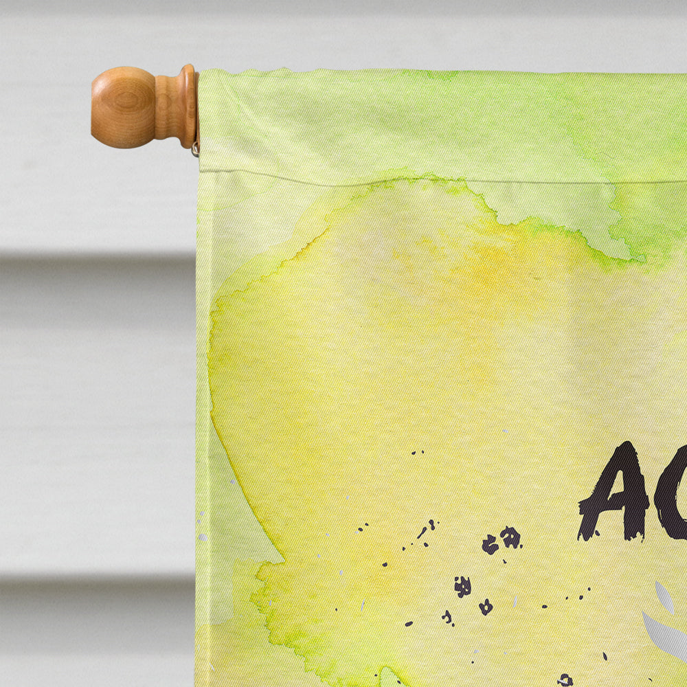 Aquarius Zodiac Sign Flag Canvas House Size BB7315CHF