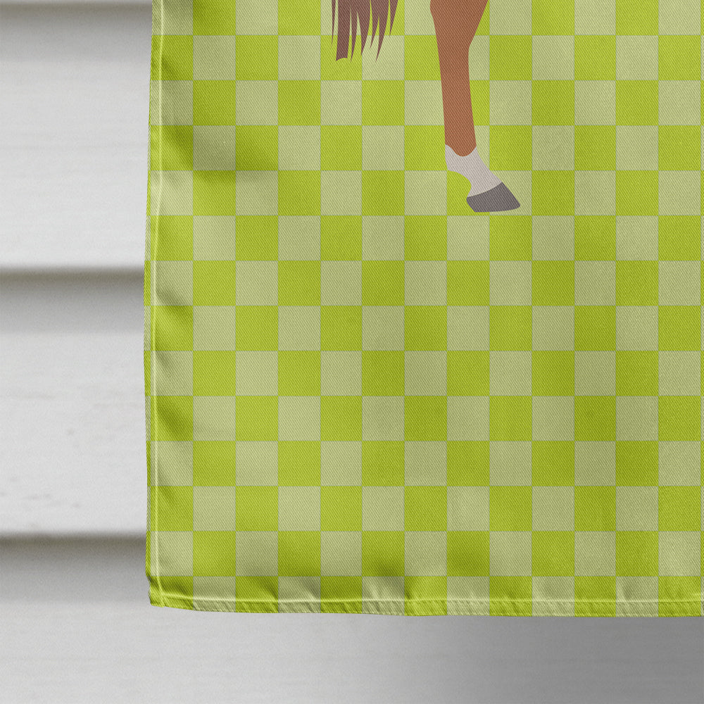 Arabian Horse Green Flag Canvas House Size BB7737CHF