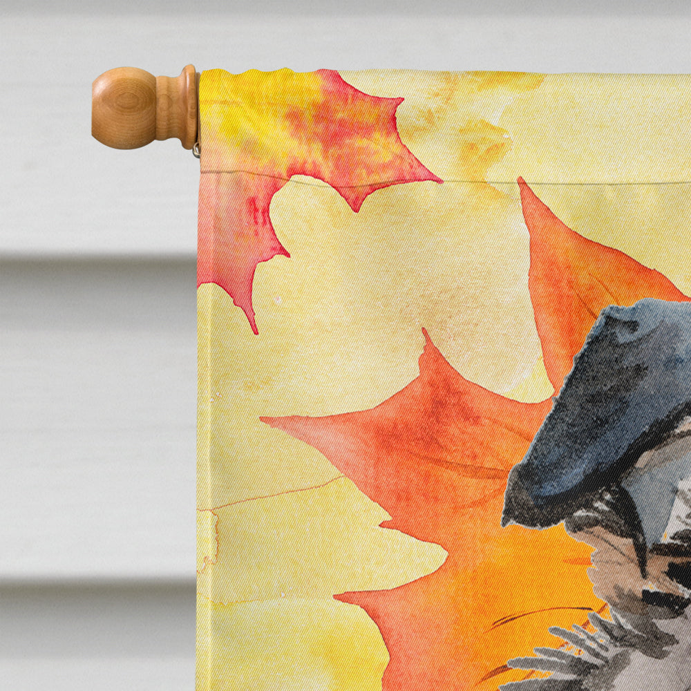 Australian Shepherd Fall Flag Canvas House Size BB9502CHF