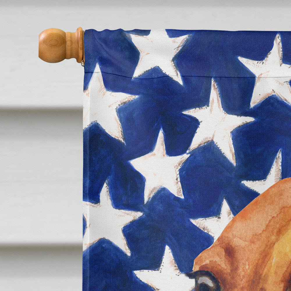 Dachshund Patriotic Flag Canvas House Size BB9652CHF