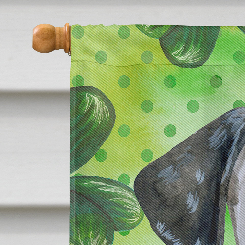 Dalmatian Puppy St Patrick's Flag Canvas House Size BB9882CHF