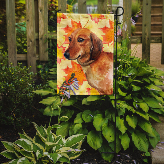 Dachshund Fall Garden Flag - Outdoor Decorative Yard Flag BB9913GF
