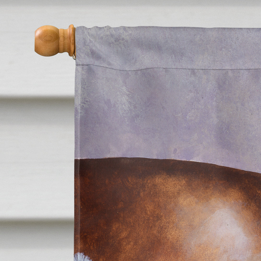 Dalmatian with Cat Flag Canvas House Size BDBA0265CHF