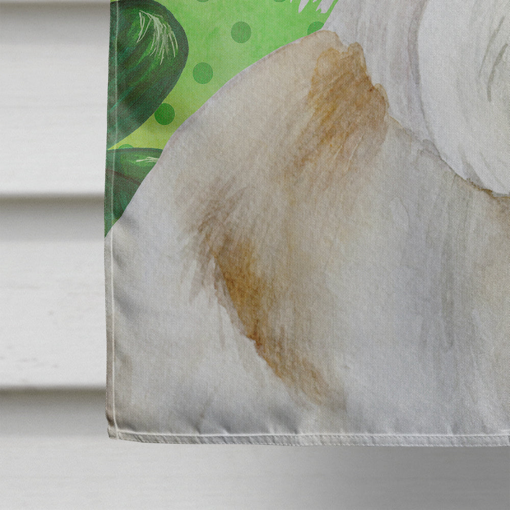 Dandie Dinmont Shamrocks Flag Canvas House Size CK1400CHF