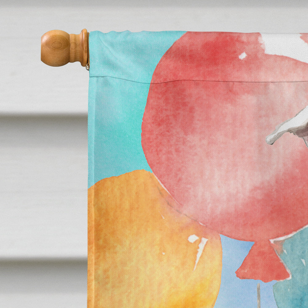 Happy Birthday White Staffordshire Bull Terrier Flag Canvas House Size CK3230CHF