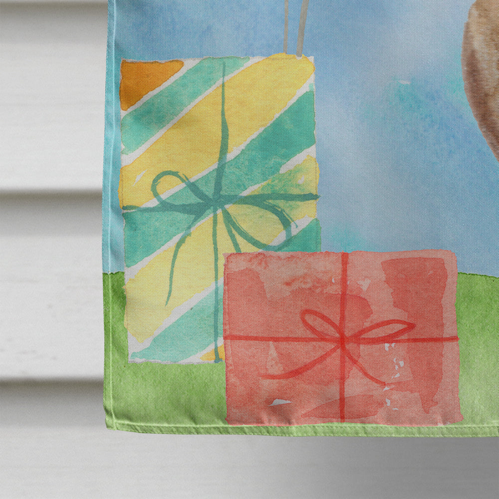 Happy Birthday Red Dachshund Flag Canvas House Size CK3240CHF