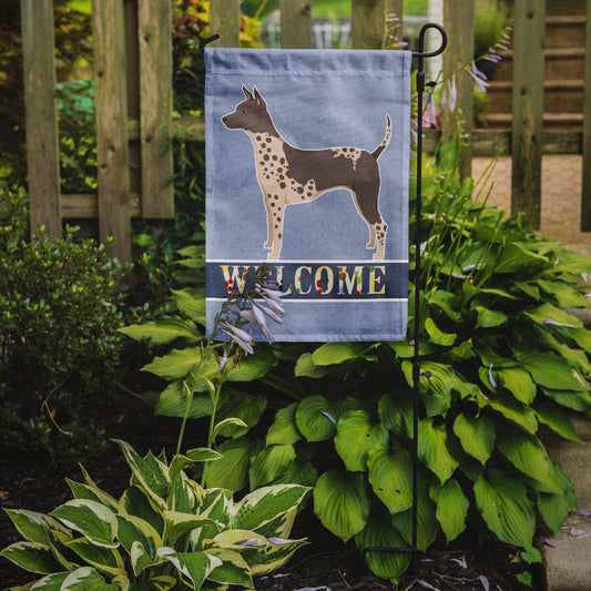 American Hairless Terrier Welcome Garden Flag - Outdoor Decorative Yard Flag CK3573GF