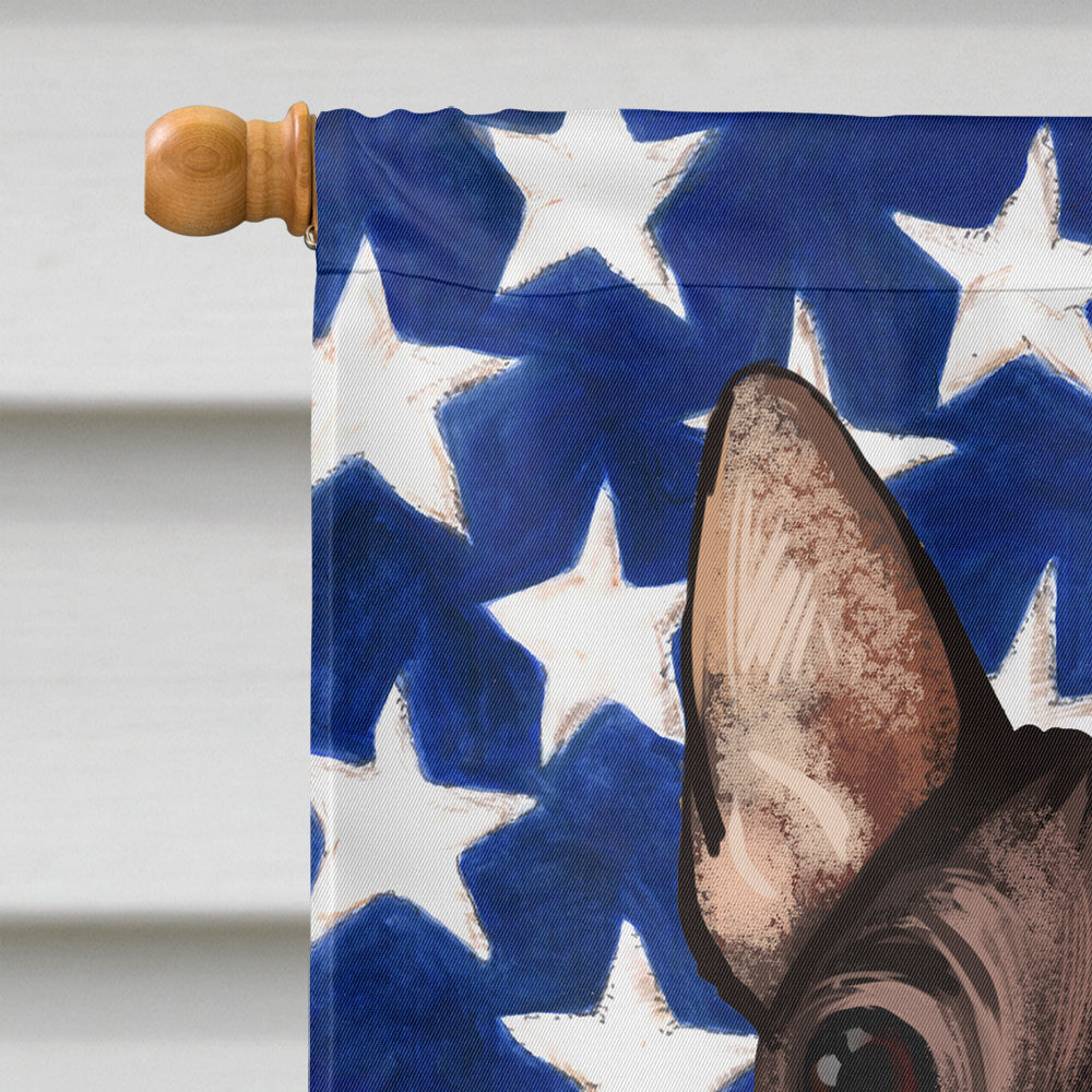 American Hairless Terrier American Flag Flag Canvas House Size CK6400CHF