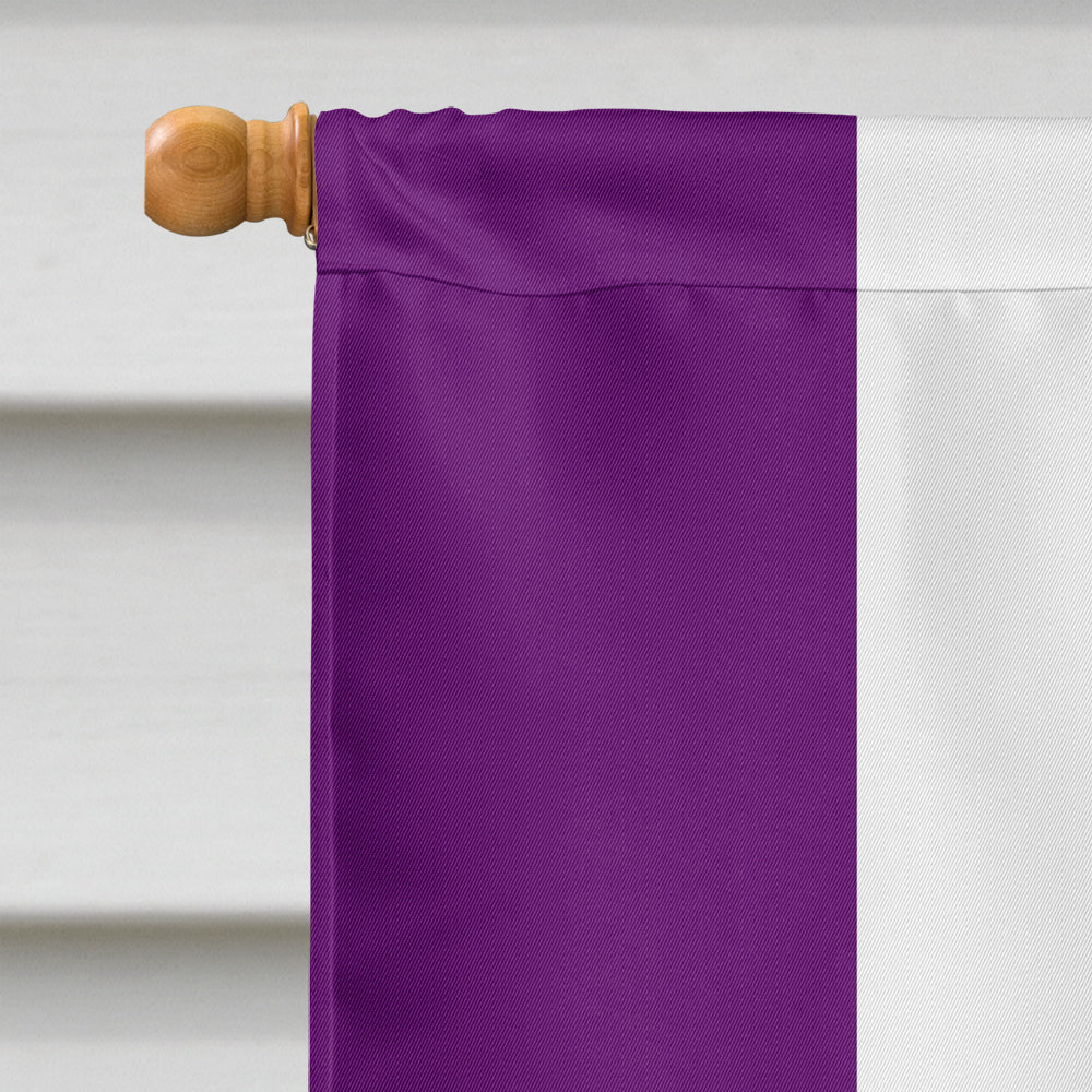 Asexual Pride Flag Canvas House Size