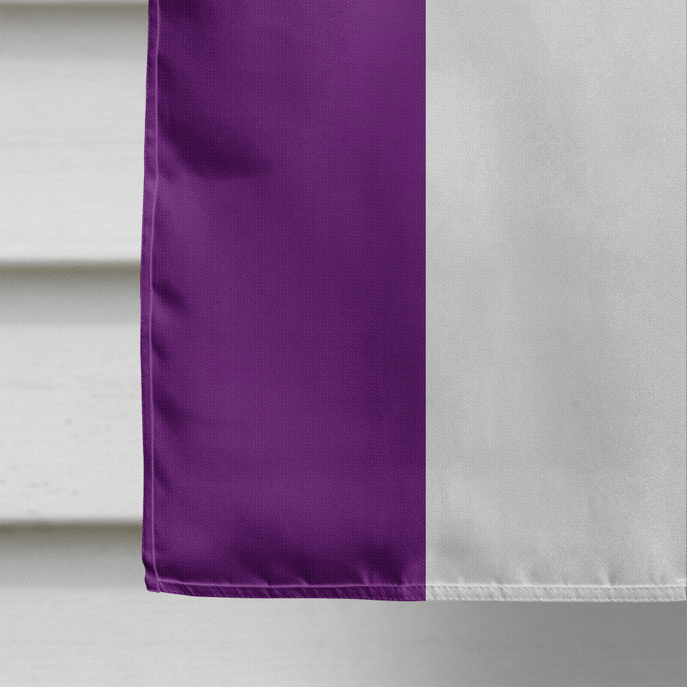Asexual Pride Flag Canvas House Size
