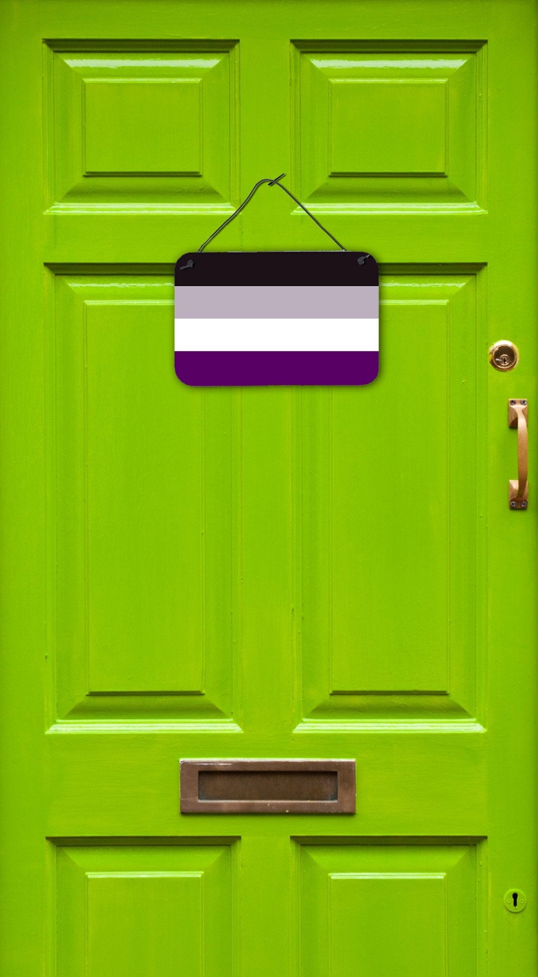 Asexual Pride Wall or Door Hanging Prints
