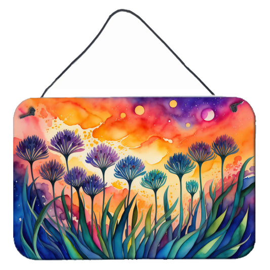 Agapanthus in Color Wall or Door Hanging Prints