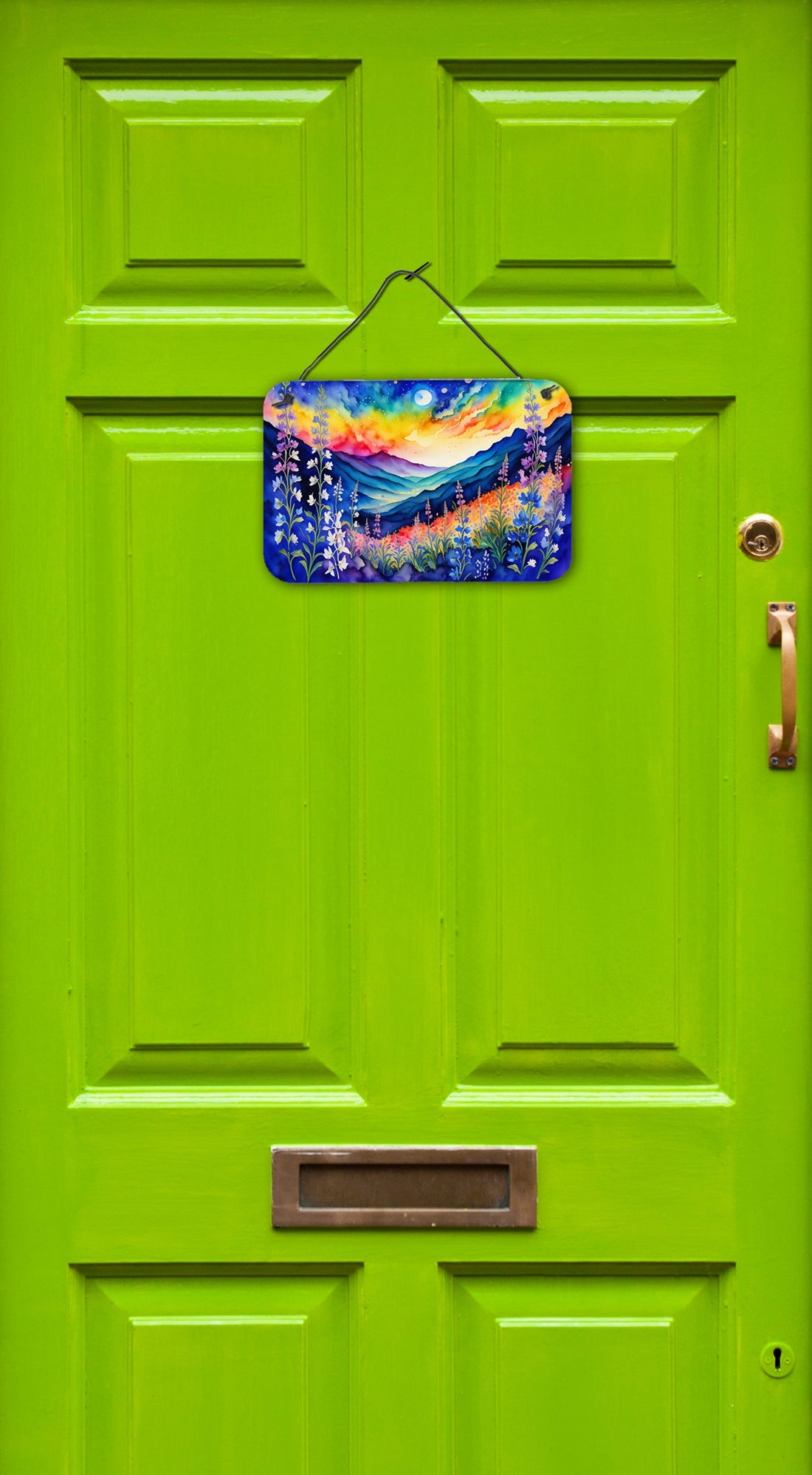 Delphinium in Color Wall or Door Hanging Prints