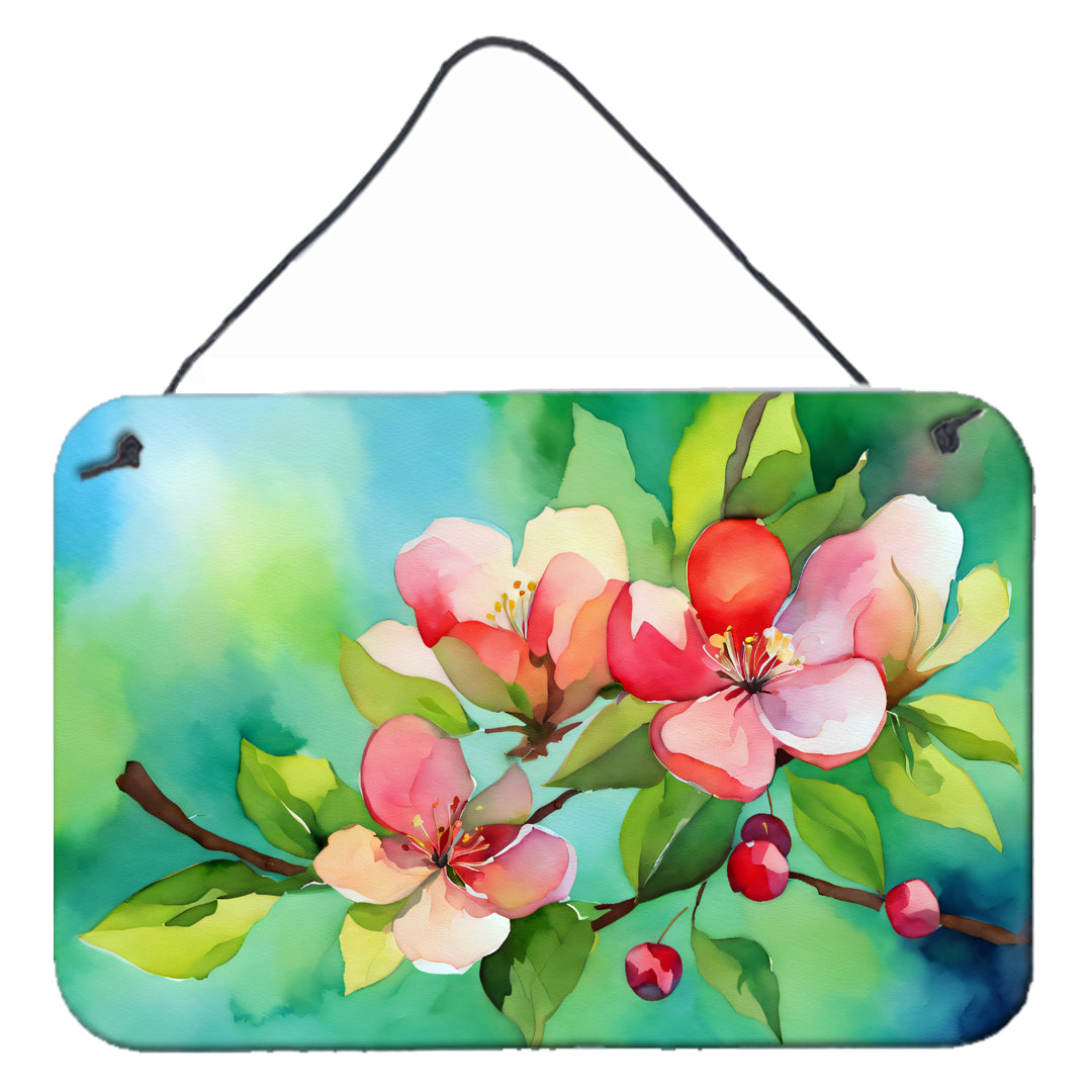 Arkansas Apple Blossom in Watercolor Wall or Door Hanging Prints