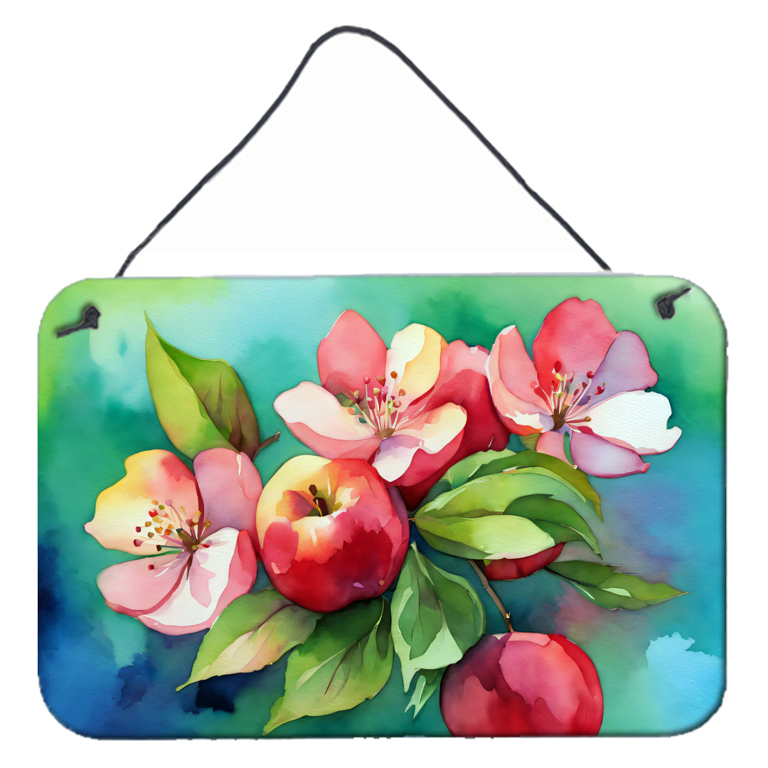 Arkansas Apple Blossom in Watercolor Wall or Door Hanging Prints