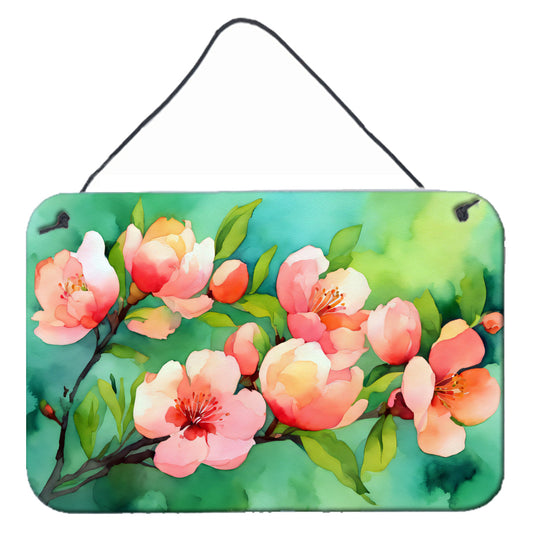 Delaware Peach Blossom in Watercolor Wall or Door Hanging Prints