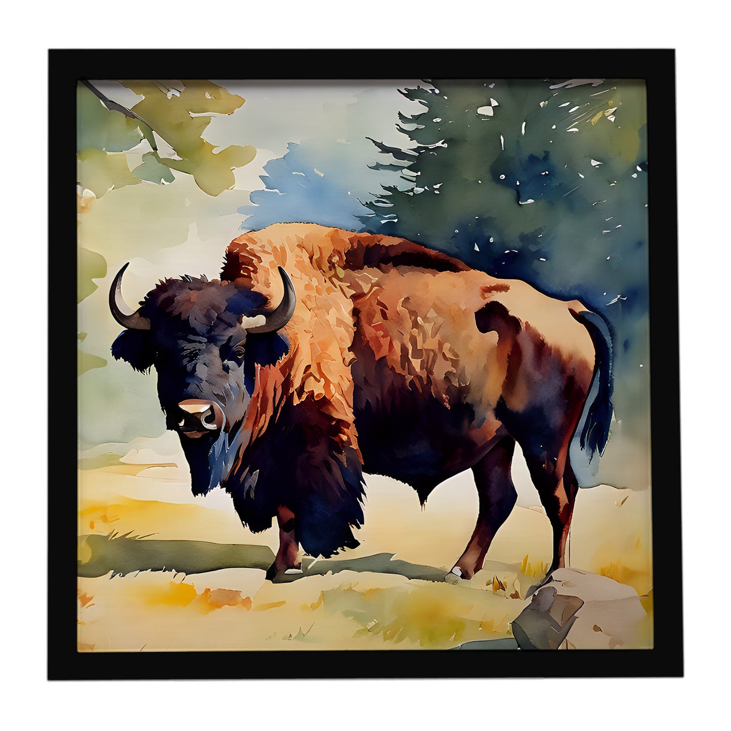 American Bison Framed Metal Print