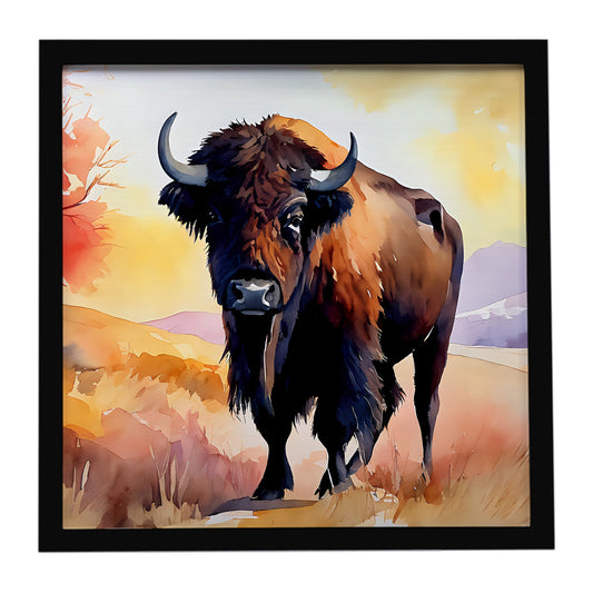 American Bison Framed Metal Print