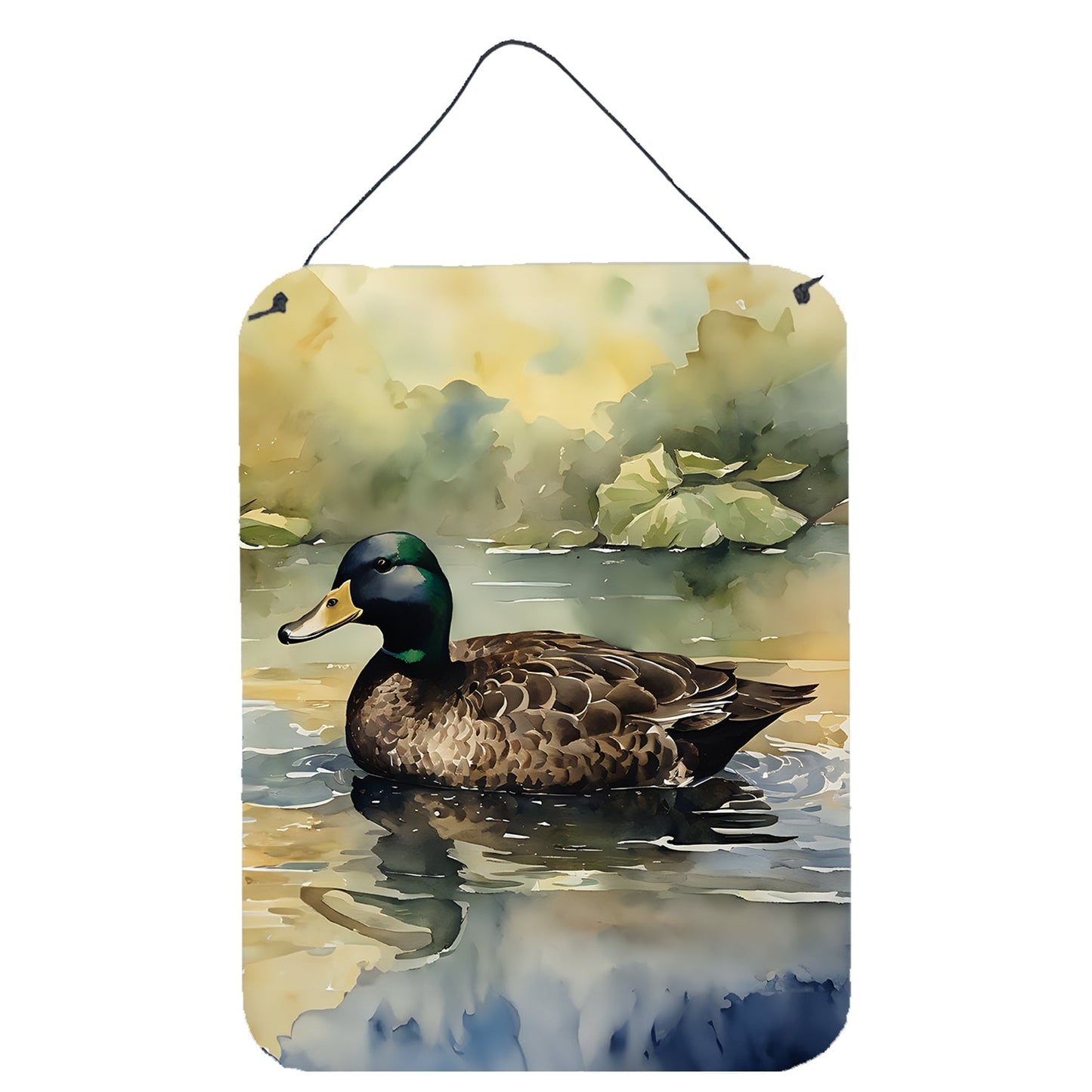 American Black Duck Wall or Door Hanging Prints