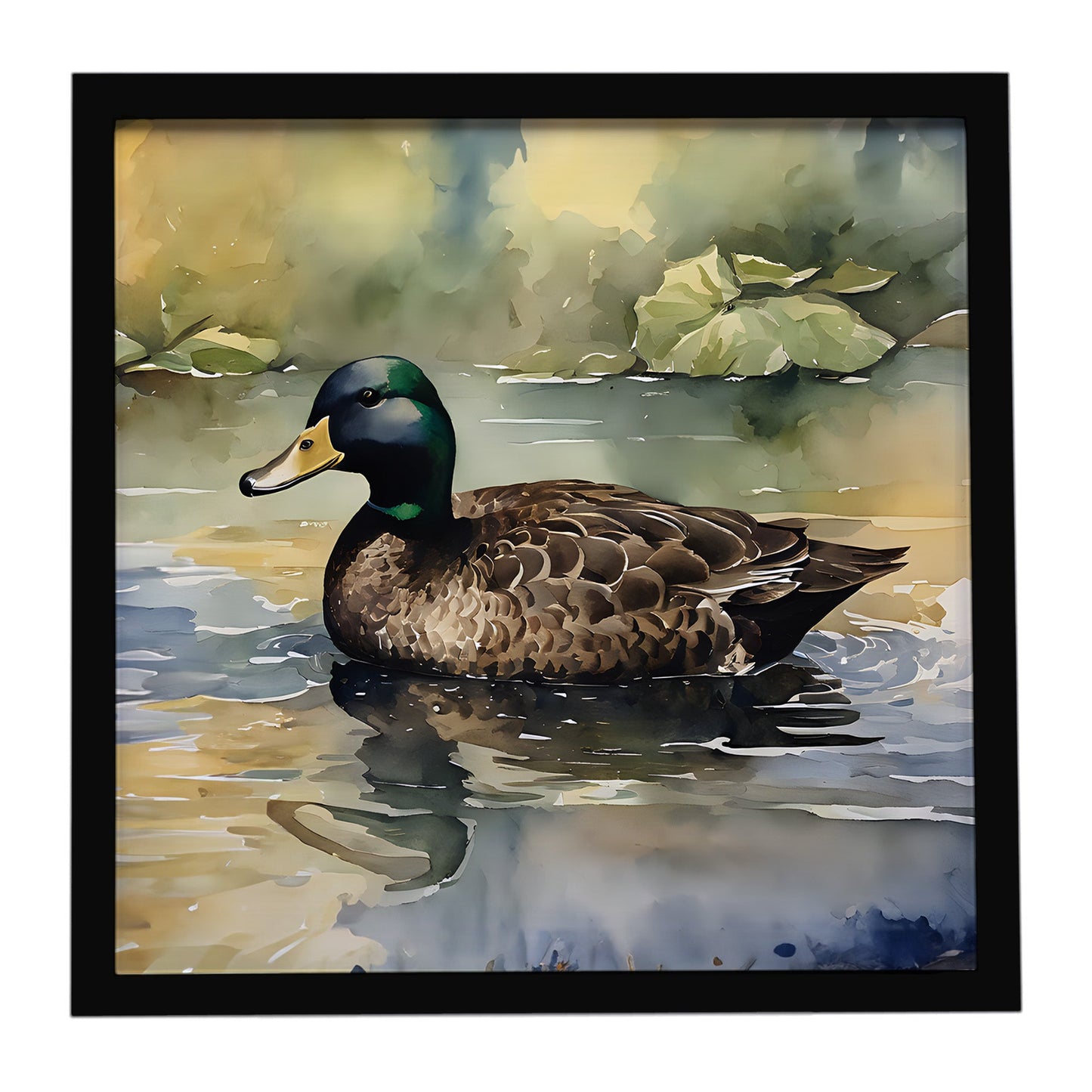 American Black Duck Framed Metal Print