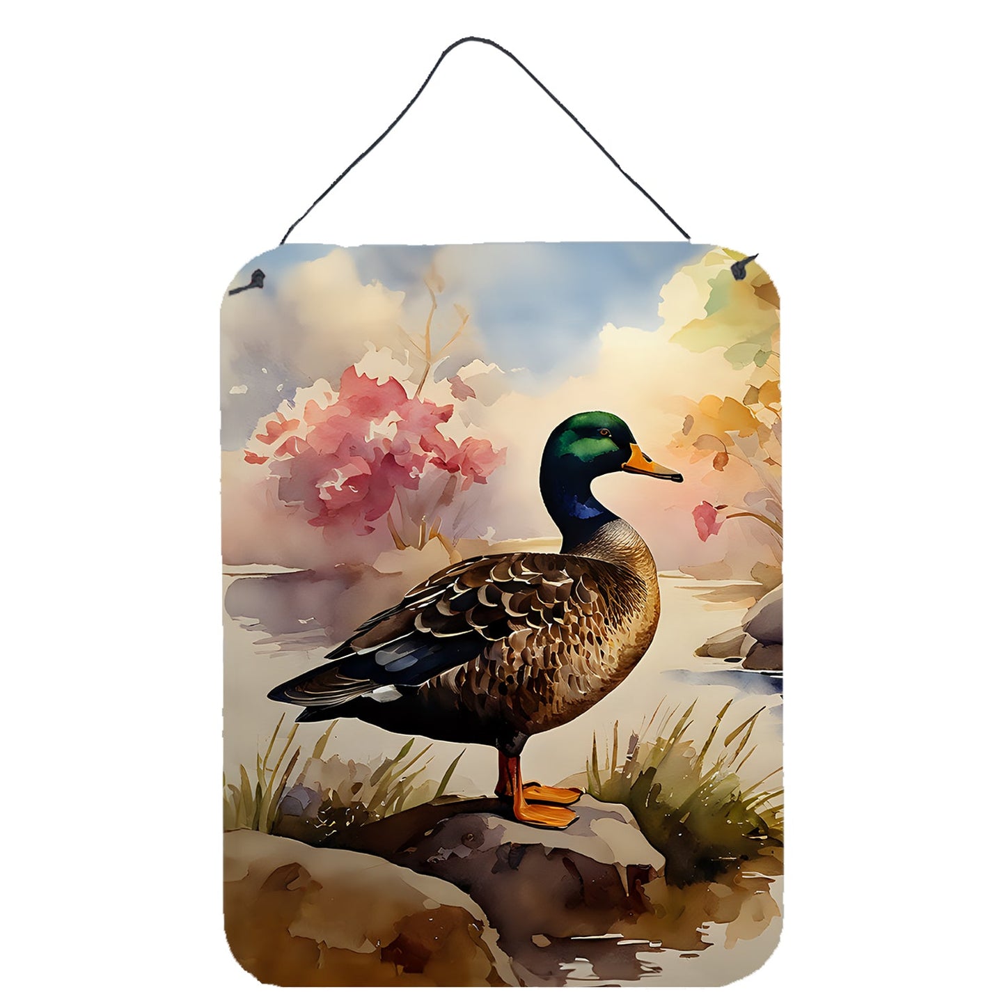 American Black Duck Wall or Door Hanging Prints