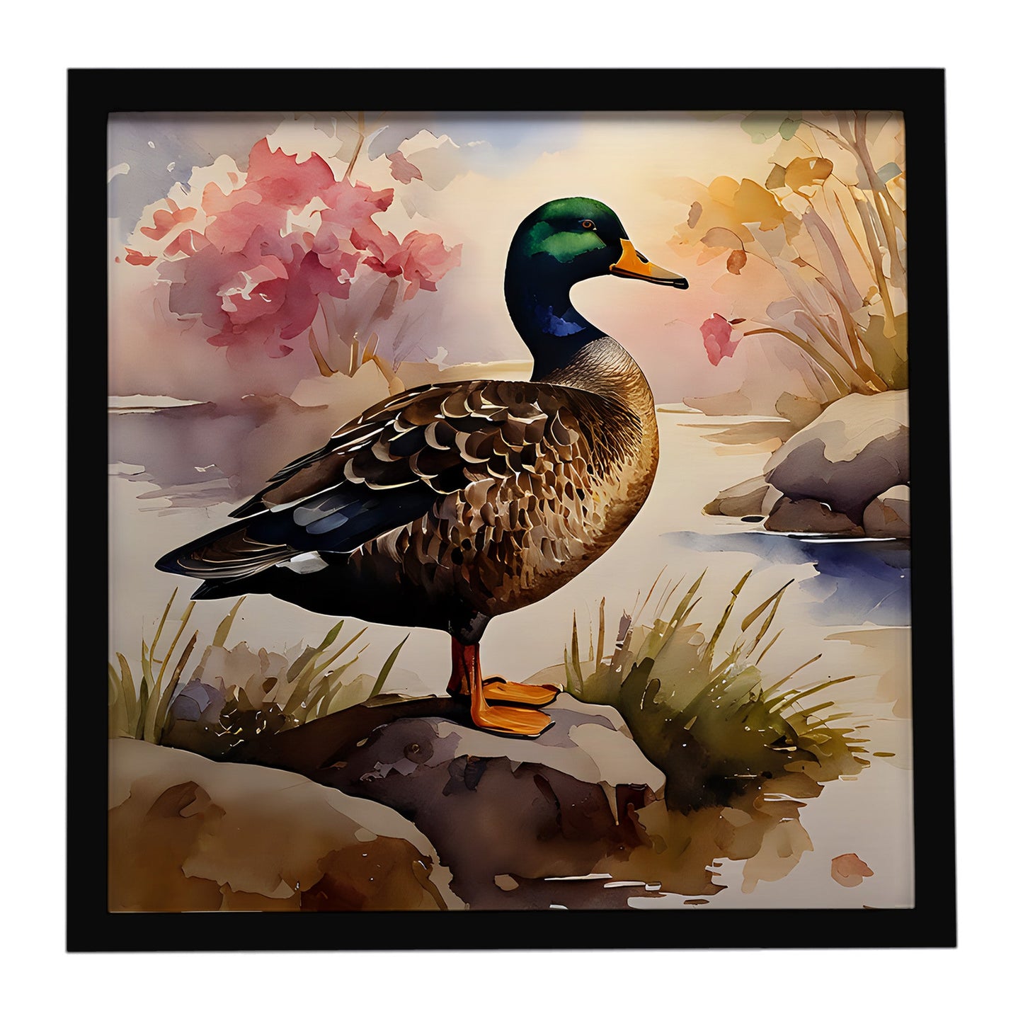 American Black Duck Framed Metal Print