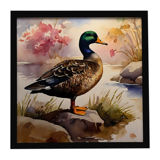 American Black Duck Framed Metal Print