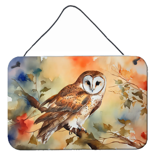 Barn Owl Wall or Door Hanging Prints