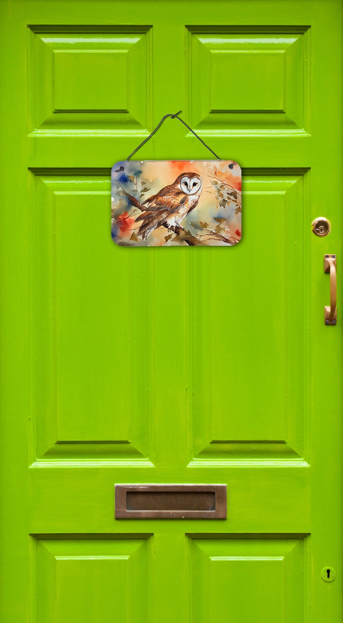 Barn Owl Wall or Door Hanging Prints