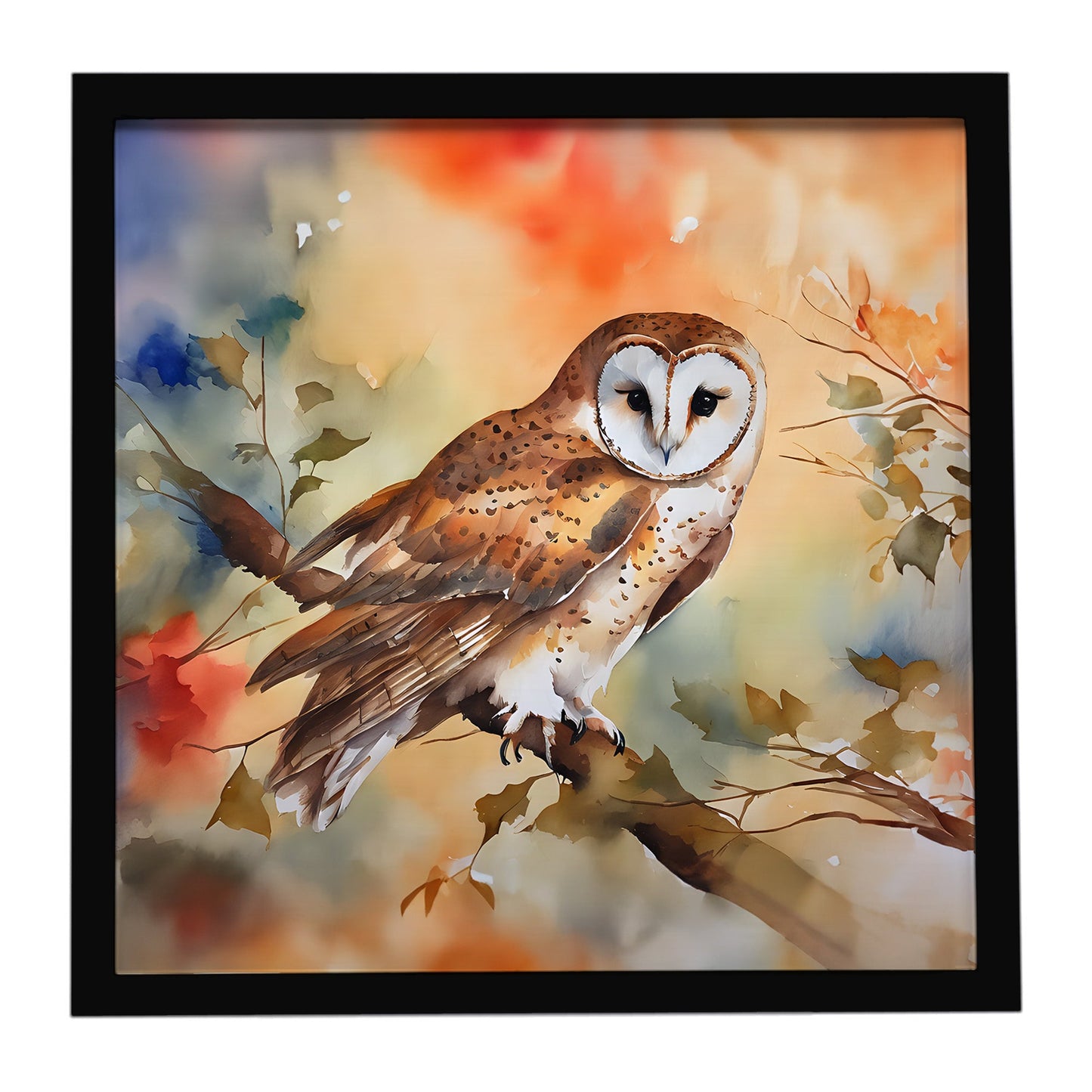 Barn Owl Framed Metal Print