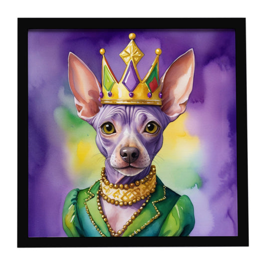 American Hairless Terrier King of Mardi Gras Framed Metal Print