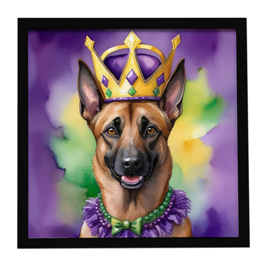 Belgian Malinois King of Mardi Gras Framed Metal Print