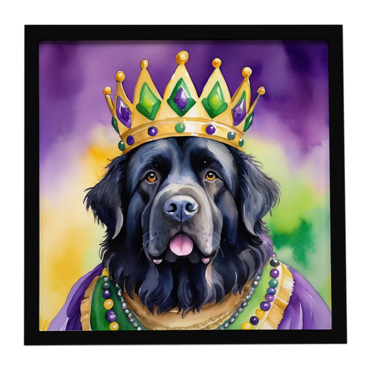 Newfoundland King of Mardi Gras Framed Metal Print