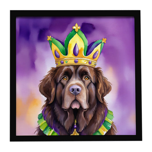 Newfoundland King of Mardi Gras Framed Metal Print