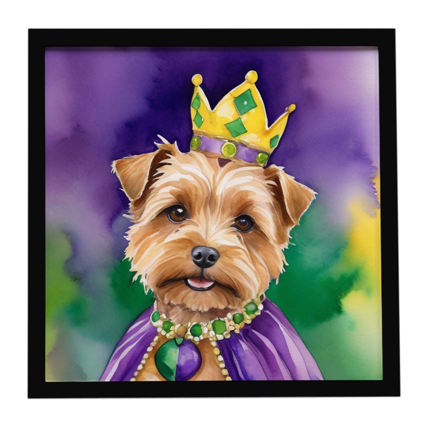 Norfolk Terrier King of Mardi Gras Framed Metal Print