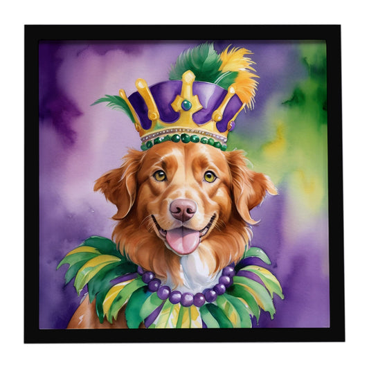 Nova Scotia Duck Tolling Retriever King of Mardi Gras Framed Metal Print
