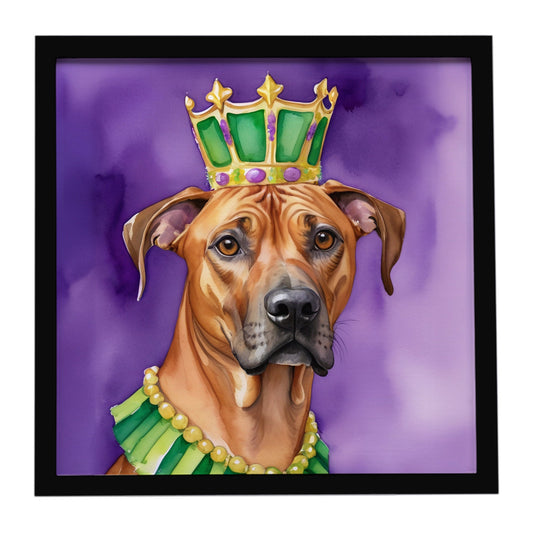 Rhodesian Ridgeback King of Mardi Gras Framed Metal Print